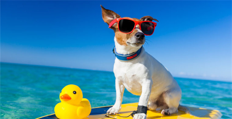 职场励志话语简短精辟_职场励志的话语_职场励志话语简短