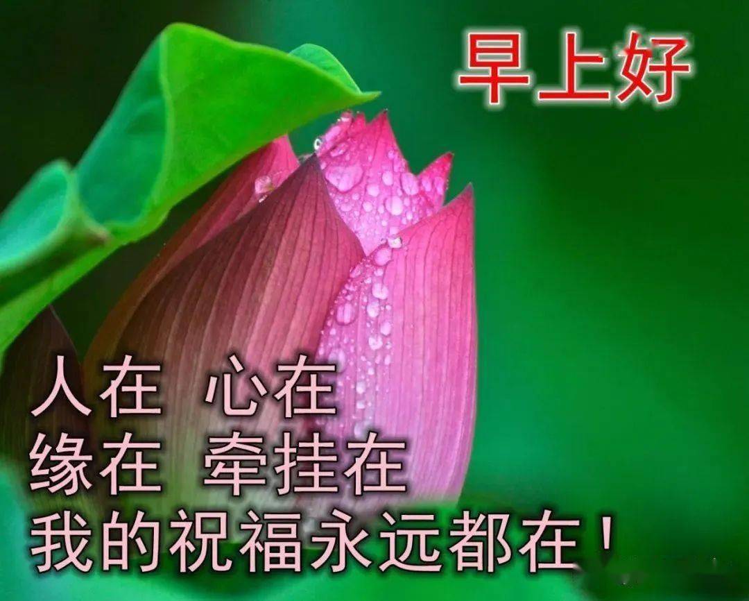 职场励志话语简短精辟_职场励志话语大全_职场励志的话语