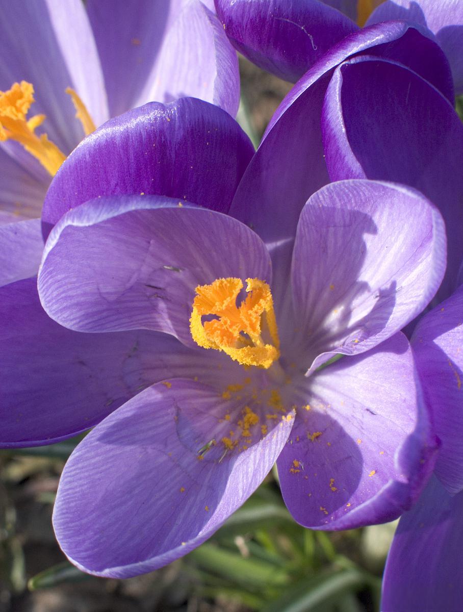 职场励志真实故事短篇_职场励志真实故事大全_真实职场励志故事