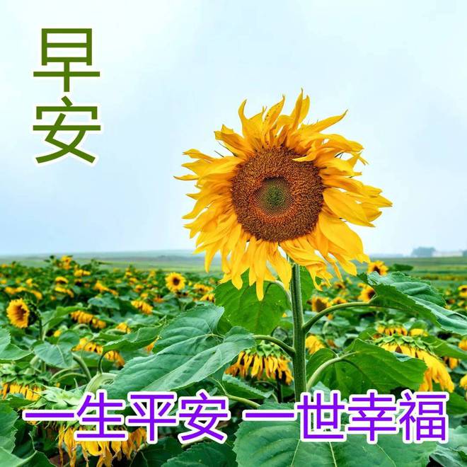 职场 励志故事_职场励志故事正能量故事及感悟_职场励志故事小故事