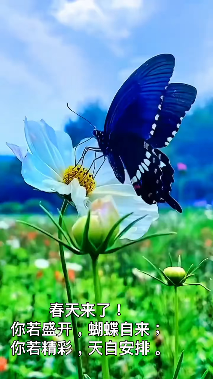 励志故事职场正能量_职场励志故事小故事及感悟_励志故事分享职场