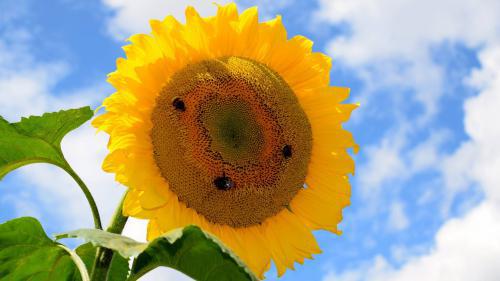 励志故事职场正能量_励志故事分享职场_职场励志故事小故事及感悟