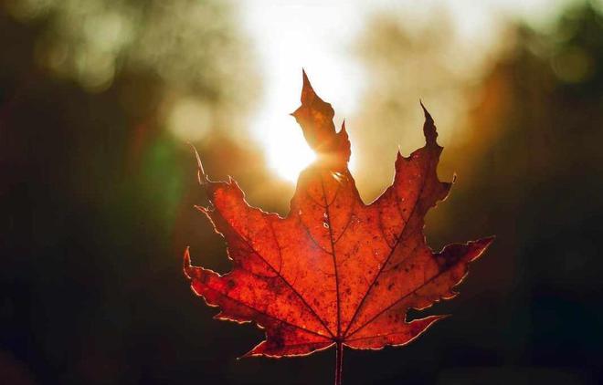 励志故事职场正能量_职场激励小故事_三分钟职场励志小故事