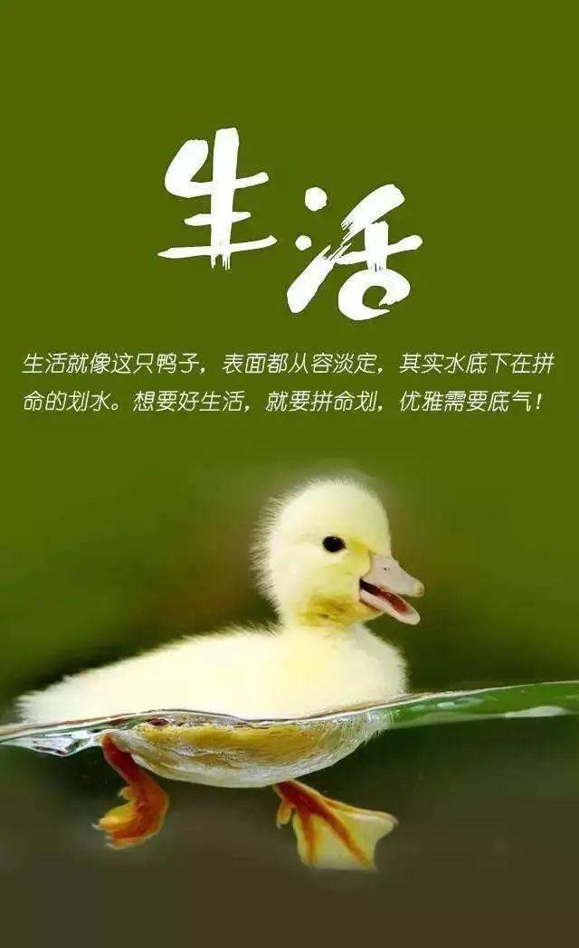 职场励志感悟销售故事范文_销售职场励志故事及感悟_职场励志感悟销售故事怎么写