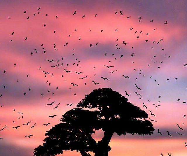 职场励志故事小故事及感悟_职场励志故事_职场励志故事及感悟个人成长