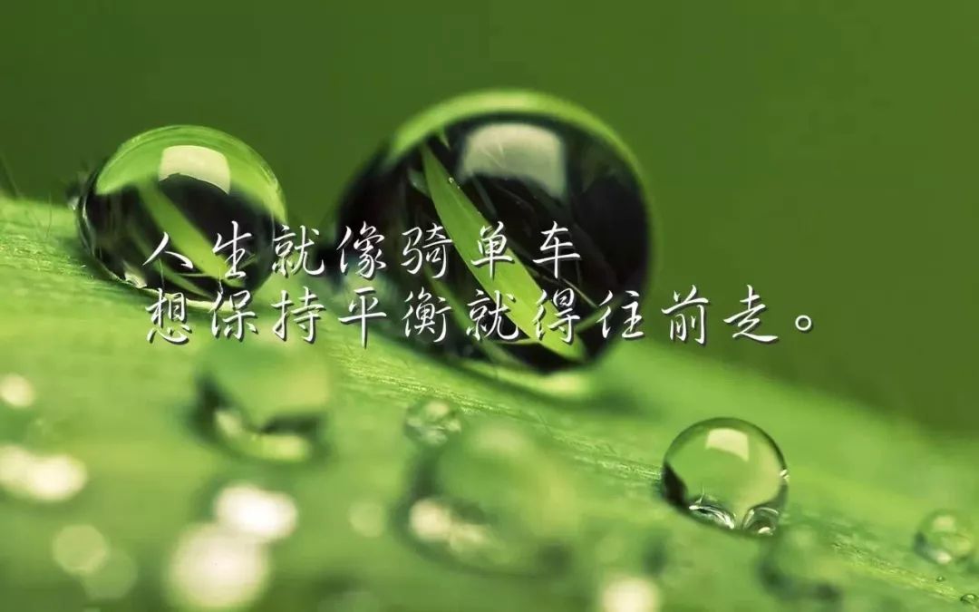 职场励志故事小故事_职场励志故事_职场励志故事及感悟个人成长