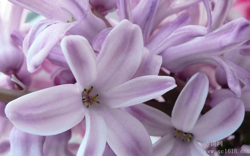 职场励志故事小故事及感悟_职场励志小故事_励志故事分享职场