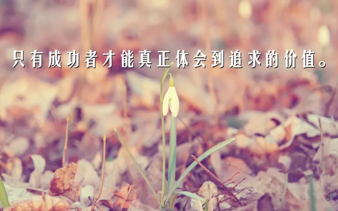 职场成功的励志名言名句_职场励志的名言警句_职场励志名人名言