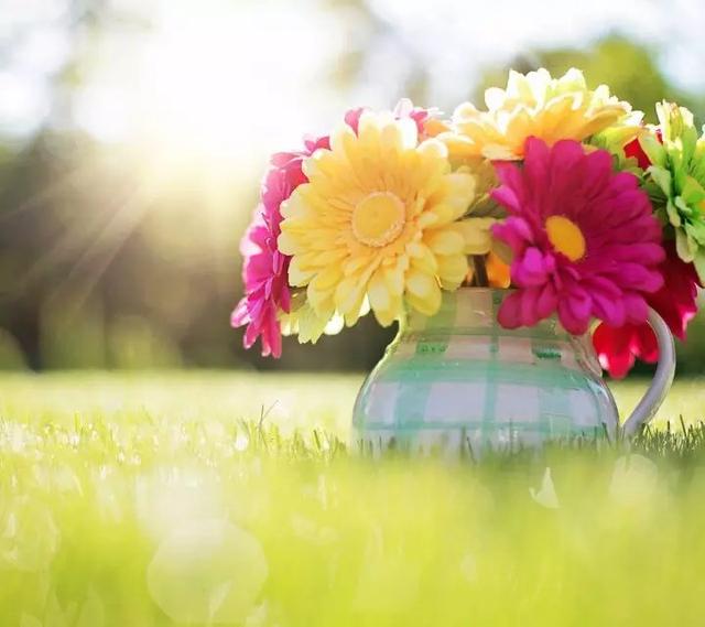 职场成功的励志名言名句_职场成功格言经典语录_名言职场励志名句成功的句子