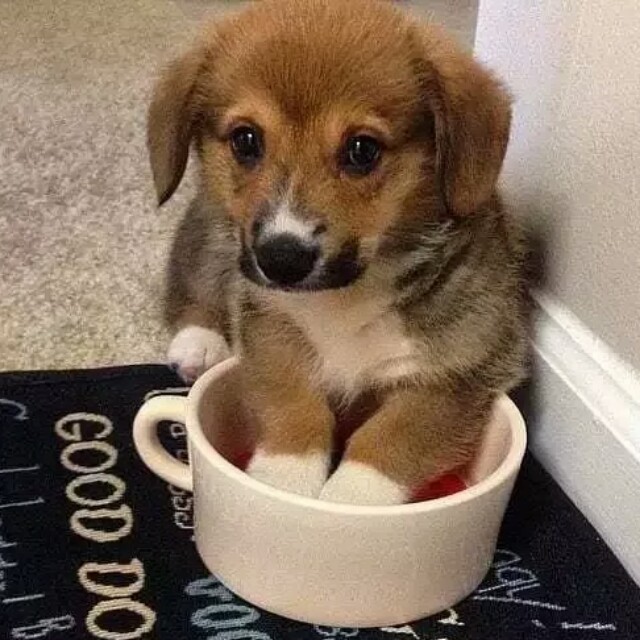 职场励志文章(精选10篇)_职场励志的书籍推荐_职场励志书籍推荐