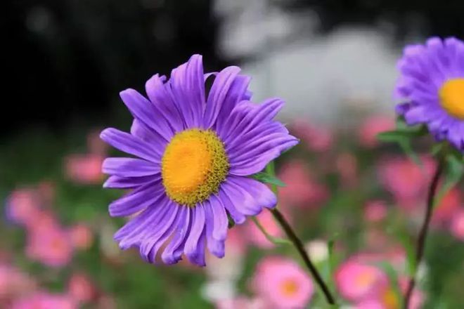 职场励志漫画免费_职场励志漫画素材_职场励志漫画