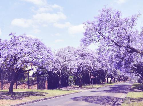 职场励志小说排行_职场励志小说推荐_职场励志小说推荐完结