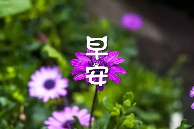 职场励志句子心灵鸡汤语录_职场励志的心灵鸡汤短句_职场的励志鸡汤语录