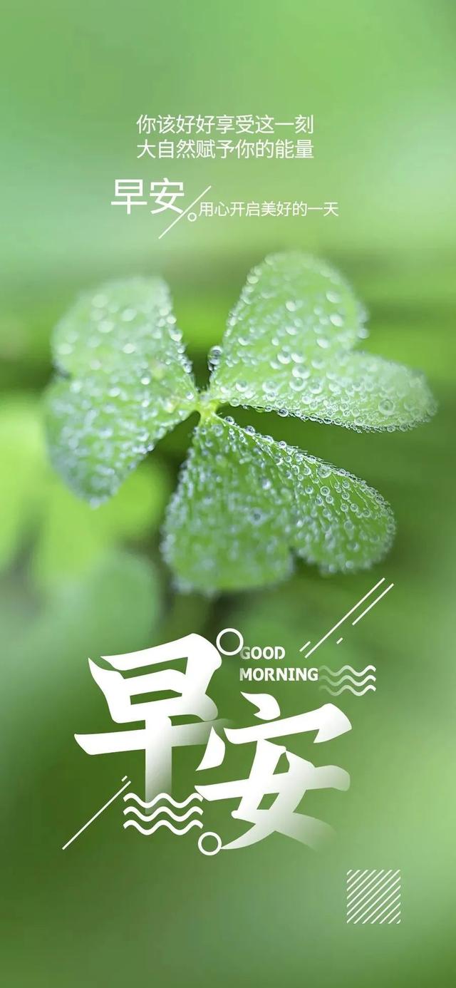 职场励志早安心语_职场早安正能量句子励志_职场早安励志语录