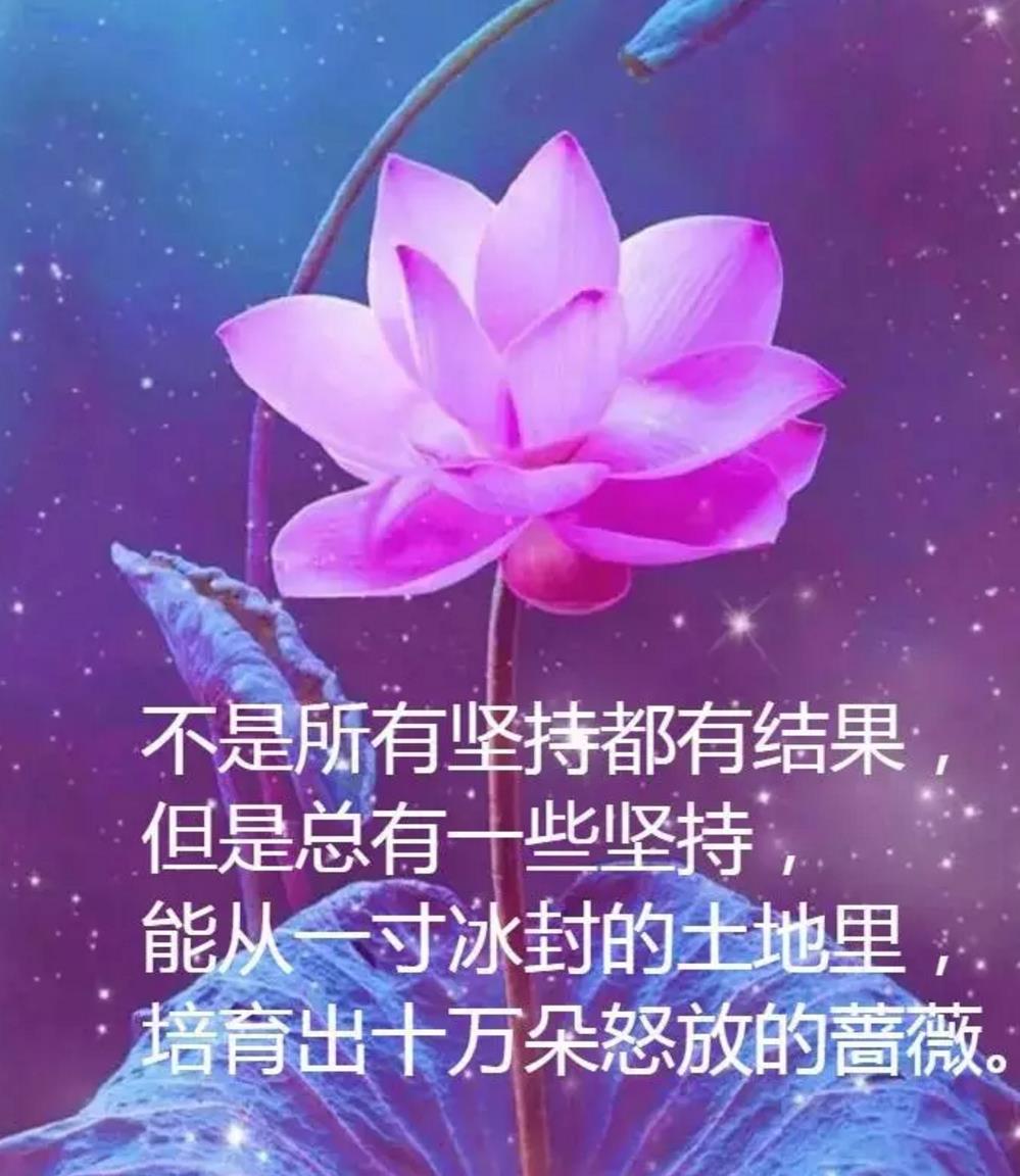 职场哲理短句_职场哲理励志的句子_职场哲理励志句子简短