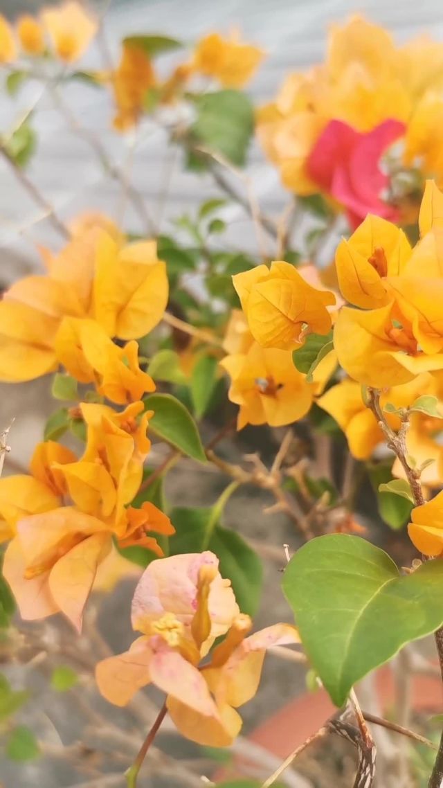 职场哲理励志句子简短_职场哲理励志句子短句_职场哲理励志的句子