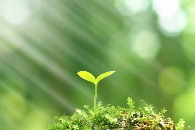 职场励志语句_职场励志语句经典短句_职场励志语录