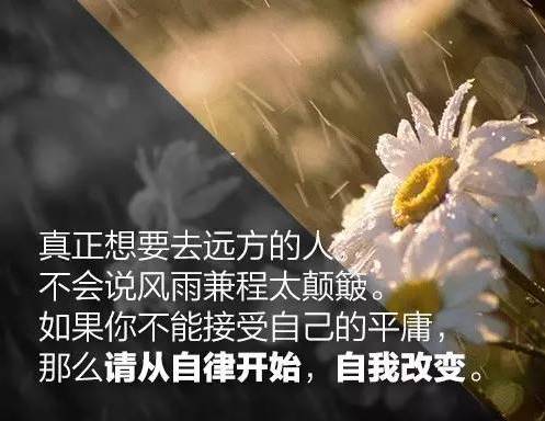 职场励志小文章_职场励志文章(精选10篇)_职场励志小短文