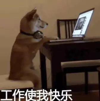 职场励志小说经典_职场励志小文章_职场励志文章标题大全