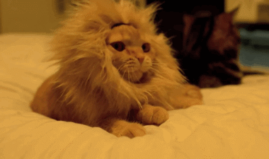 语录经典短句励志_职场励志语录名言_语录名言职场励志句子