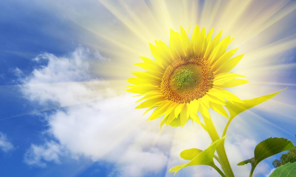 职场激励小故事_职场经典励志小故事_职场励志故事小故事及感悟