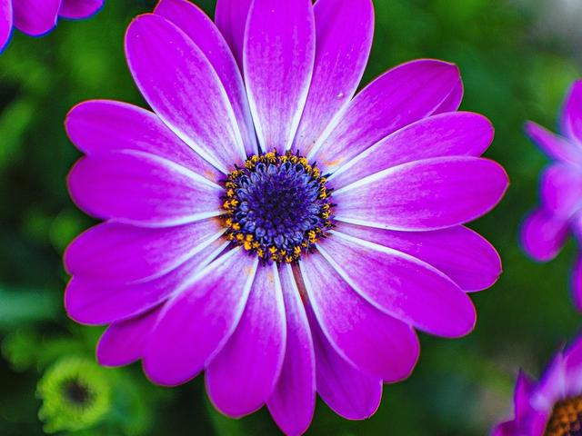 2021职场励志正能量句子_职场正能量励志_职场励志能量句子