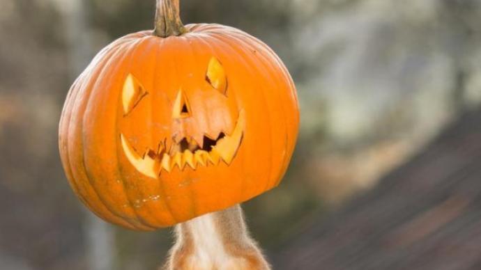 值得看的职场电影_职场励志电影前十名_职场励志电影排行榜前十名