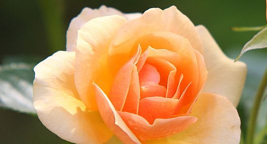 职场励志电视剧排行榜_励志职场电视剧排行榜前十名_职场励志电影排行榜前十名