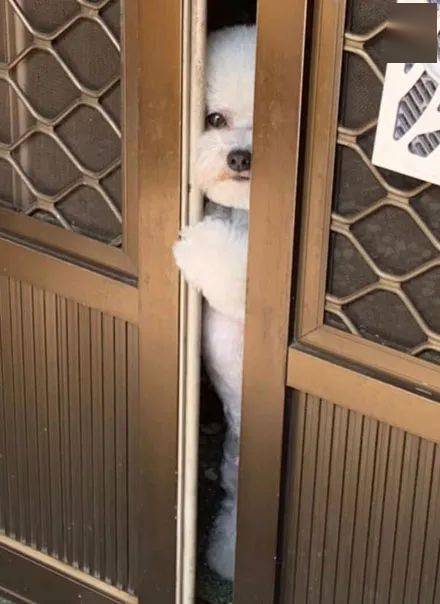 职场励志哲理故事_职场哲理励志故事短篇_职场哲理励志故事大全