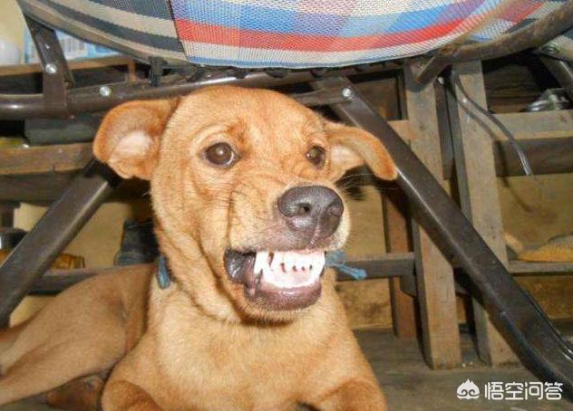 职场哲理励志故事短篇_职场哲理励志故事大全_职场励志哲理故事