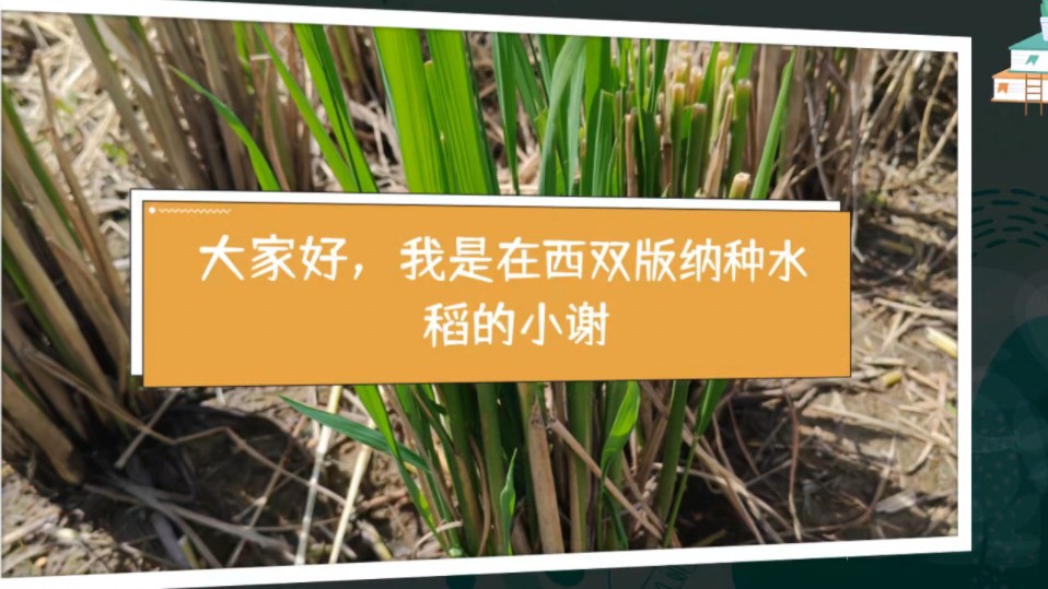 职场楷模的励志故事_职场励志楷模故事100字_职场励志楷模故事简短