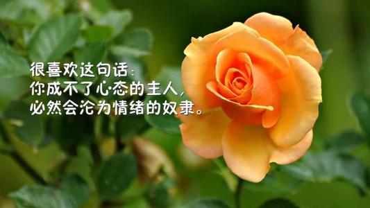 职场励志语句_职场励志语句经典短句_职场励志语录