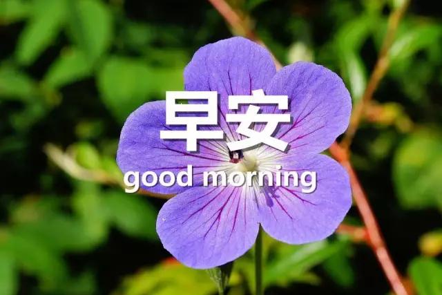 职场励志文章精选_职场励志文章(精选10篇)_职场励志精选文章大全