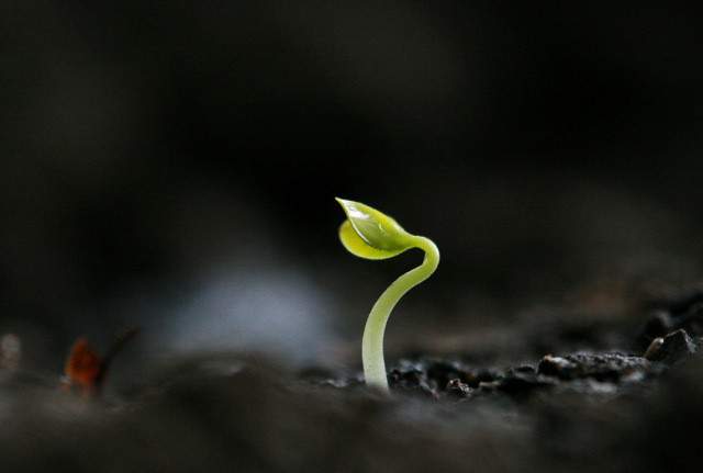 职场励志日剧_日本职场励志电影_职场励志电影排行榜前十名