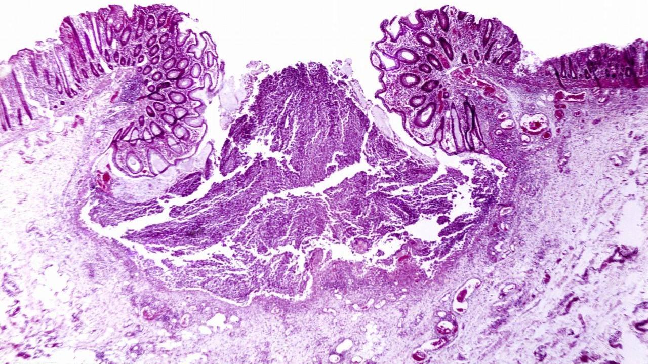 职场励志小文章_职场励志文章(精选10篇)_职场励志文章标题大全