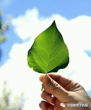 职场励志小故事带上特长及感悟_特长事例_职场特长怎么写