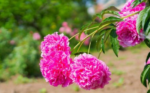 特长励志语录经典短句_职场上的特长和弱点_职场励志小故事带上特长及感悟