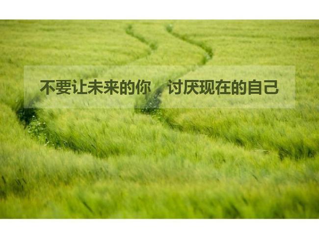 职场励志语录经典短句2019_职场经典语录励志正能量的_职场经典励志语录