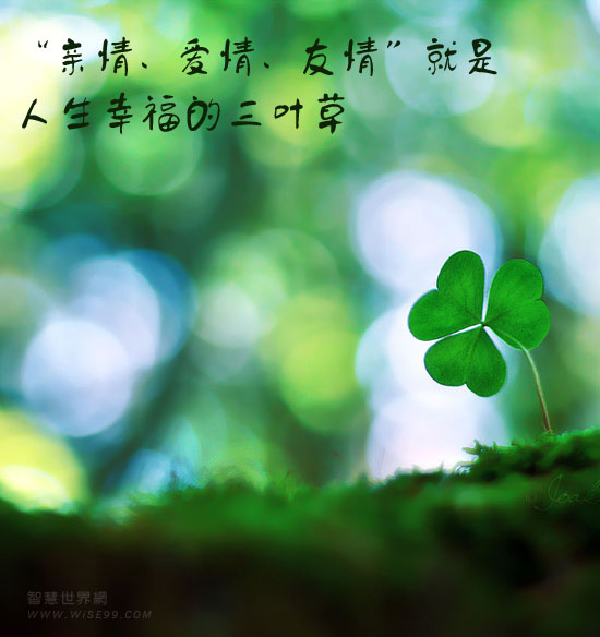 女人职场励志语录_职场女性励志说说_女人职场励志说说