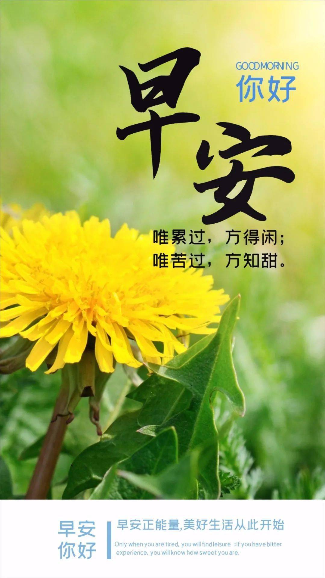 女人职场励志语录_职场女性励志文案_职场女性励志语录