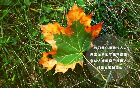 简短的职场心灵鸡汤小故事_职场励志鸡汤故事_职场的励志鸡汤语录