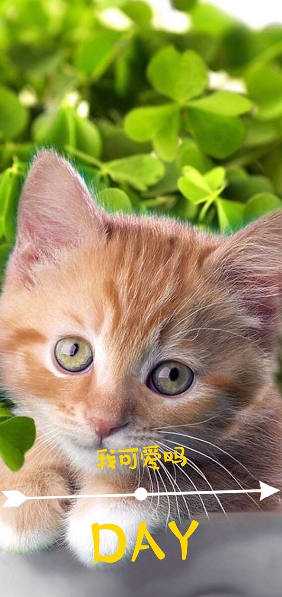 励志职场故事_职场励志故事正能量故事及感悟_职场励志故事小故事及感悟