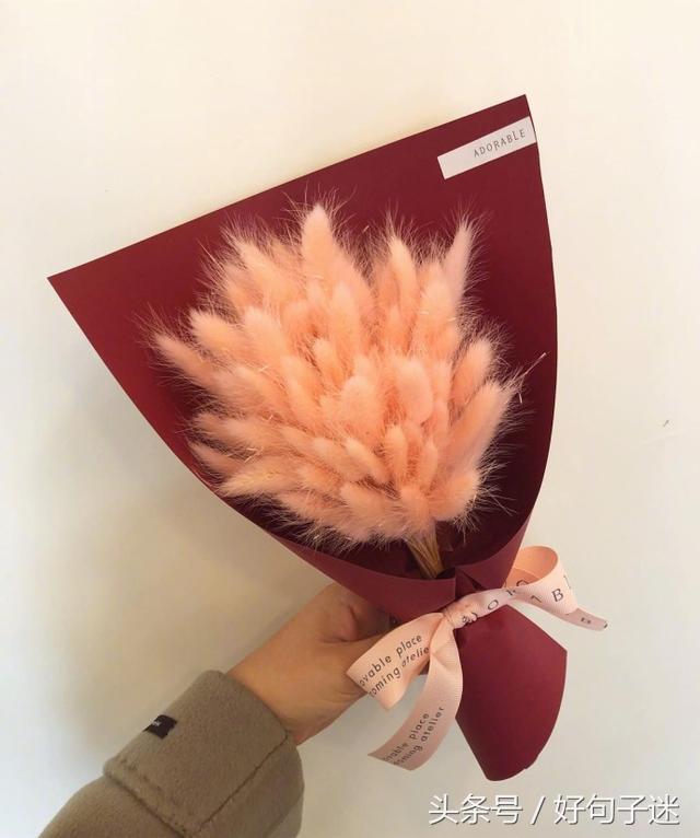 职场坚强励志语录_职场励志佳句_语录职场励志坚强的话