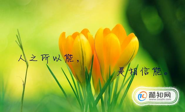 职场励志语录图片大全_经典语录职场_职场语录