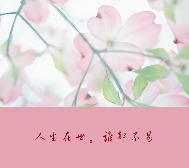 职场坚强励志语录_语录职场励志坚强的句子_语录职场励志坚强的话