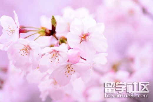 职场的励志鸡汤语录_职场励志句子心灵鸡汤语录_职场励志的心灵鸡汤短句