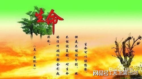 职场励志读后感文章范文_职场励志读后感文章怎么写_职场励志文章读后感