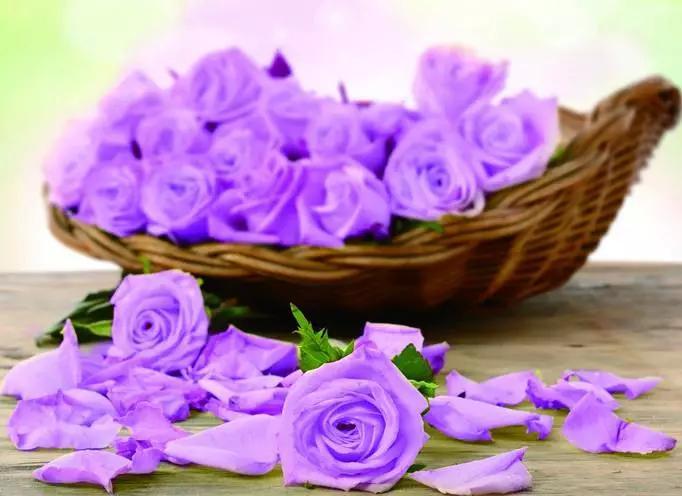 职场励志文章读后感优秀范文_职场励志读后感文章怎么写_职场励志文章读后感