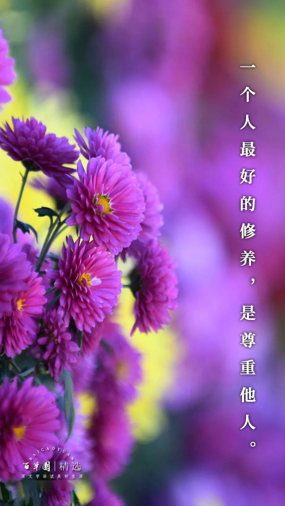 职场励志文章读后感_职场励志文章读后感优秀范文_职场励志读后感文章怎么写