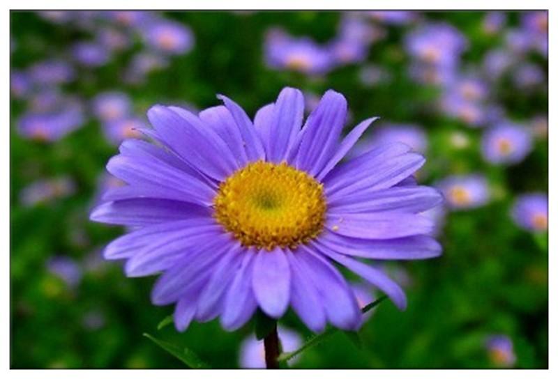 职场的励志鸡汤语录_职场鸡汤经典语录励志_职场励志心灵鸡汤语录